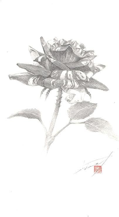 鉛筆アート「マーブル・ローズ」1点物、真筆 鉛筆アートマーブル ローズ1点物真筆 鉛筆アートマーブル ローズ1点物真筆